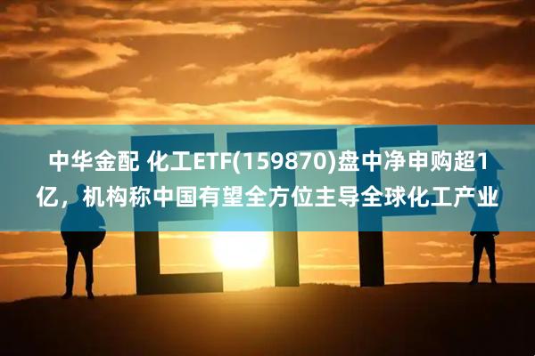 中华金配 化工ETF(159870)盘中净申购超1亿，机构称中国有望全方位主导全球化工产业